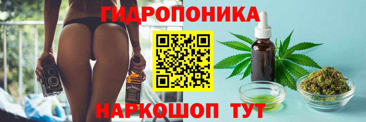 Бошки марихуана White Widow Мурманск